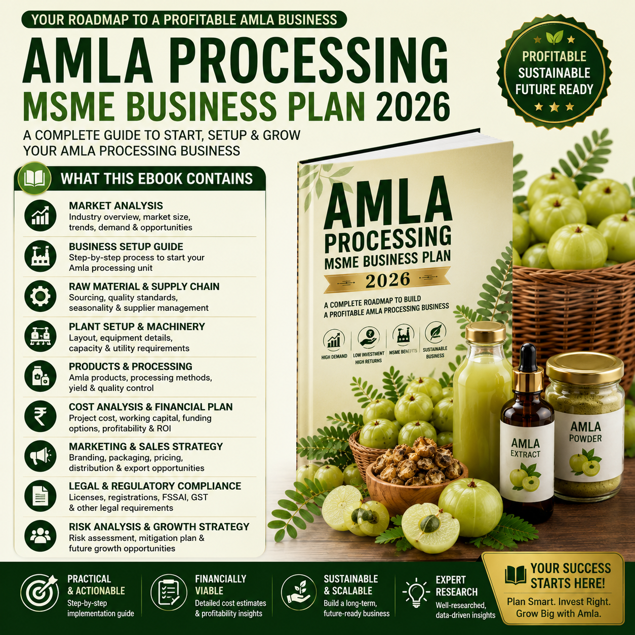 Amla Processing Business Plan illustrating fresh amla bubble washing, seed deseed/shredding, juice extraction/pulping, thermal pasteurization, tray drying for candy/powder, and automated bottling.