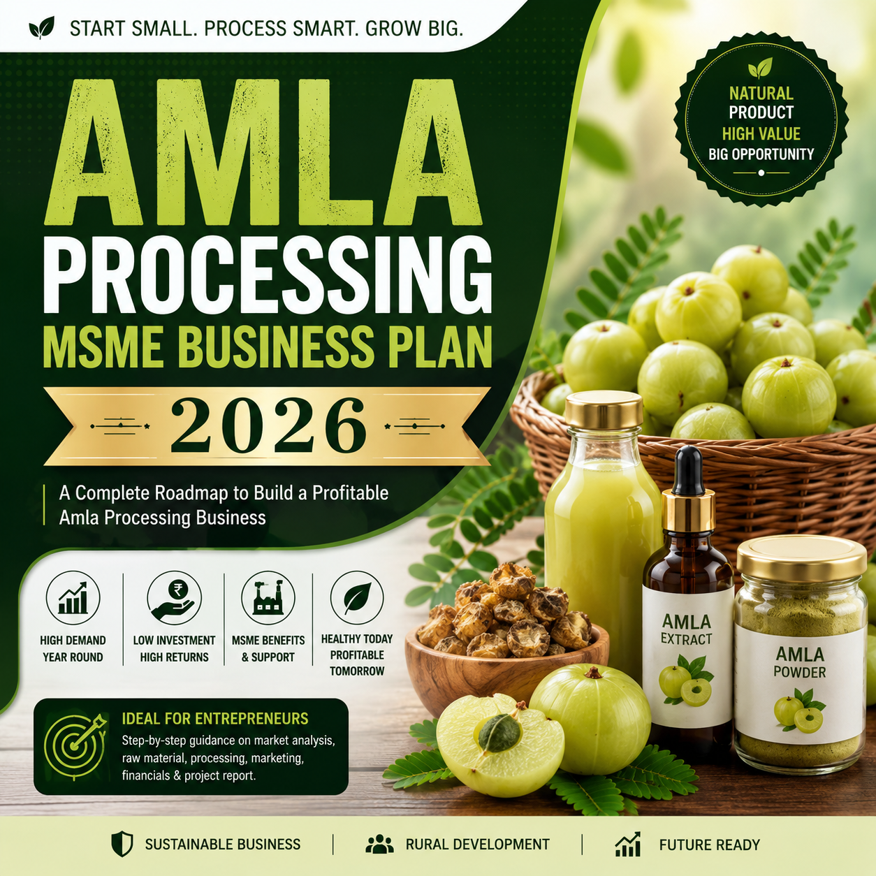 Amla Processing MSME Business Plan 2026 featuring stainless steel amla fruit pulpers, pasteurizer units, and packaged amla juice, candy, and powder.