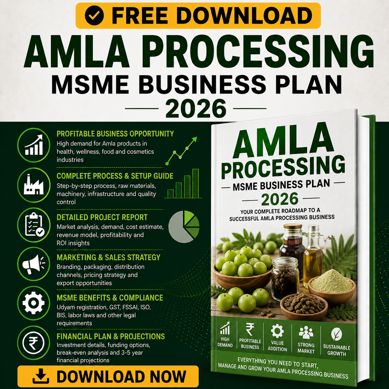 amla processing business