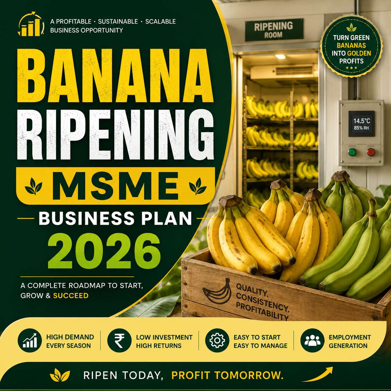 Banana Ripening MSME Business Plan 2026 featuring PUF-insulated cold storage chambers filled with systematically stacked crates of uniformly ripened yellow bananas.