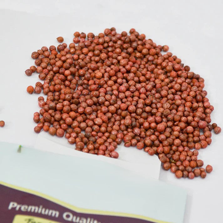 Organic Coriander seeds for Gardening (Pack of 20)