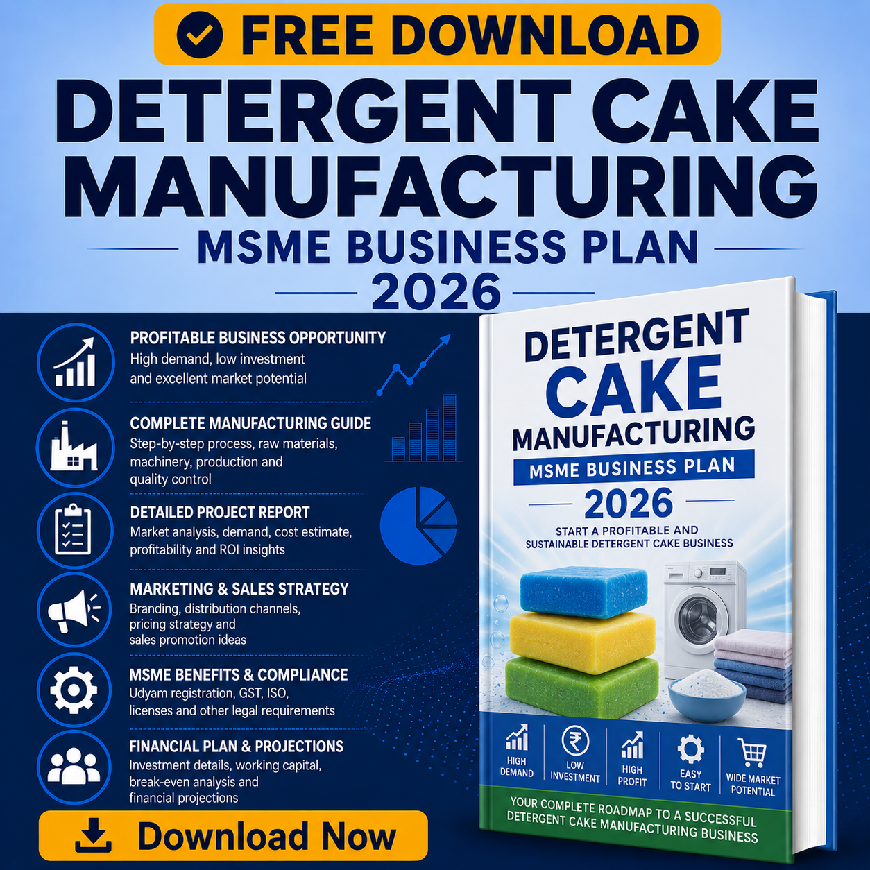 detergent cake manufacturing business plan 2026