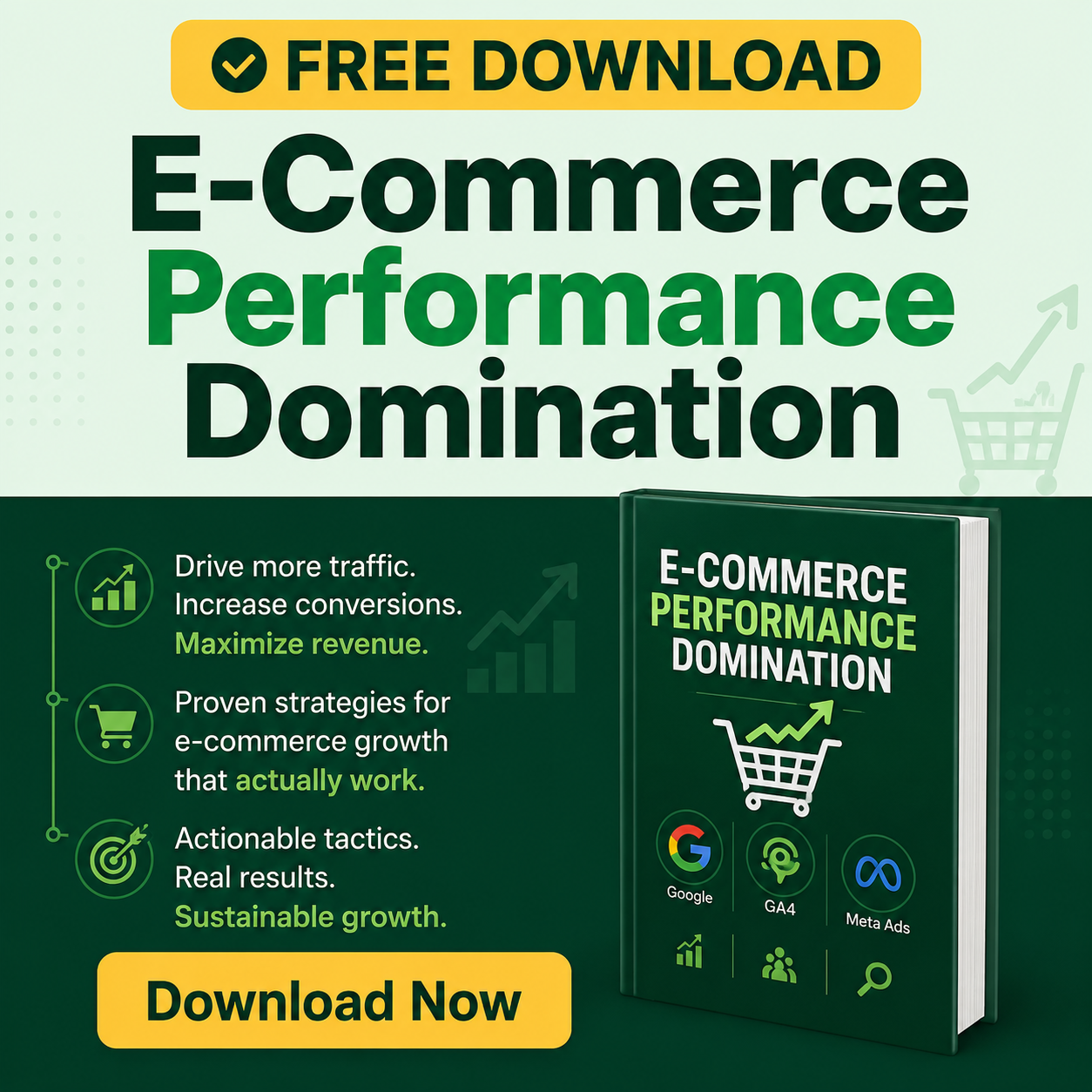 ecommerce performance marketing domination