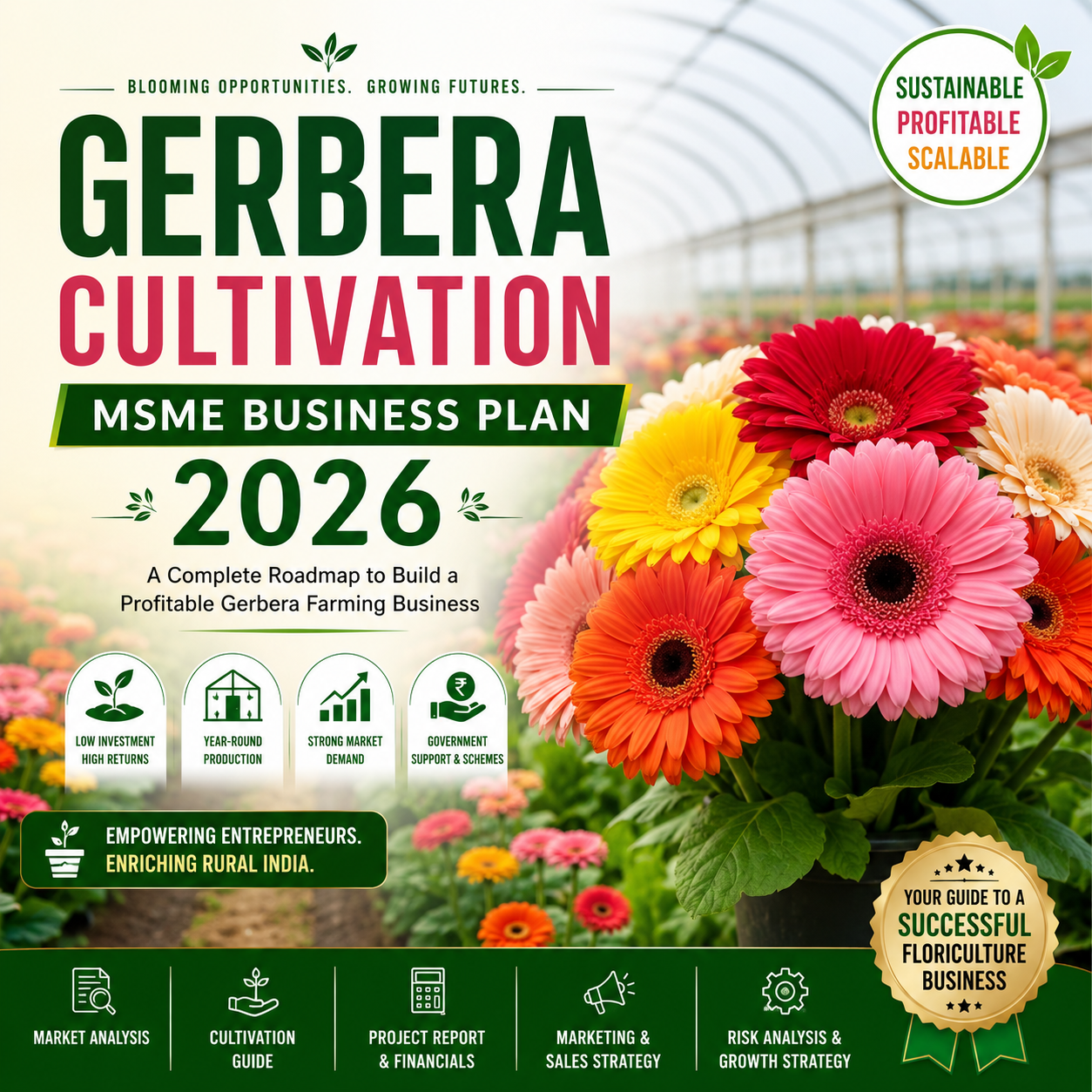 Gerbera Cultivation MSME Business Plan 2026 featuring high-density raised-bed gerbera polyhouses with vibrant blooming red, yellow, and pink cut flowers.