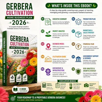 Gerbera Cultivation Business Plan illustrating soil sterilization/fumigation, raised-bed formation, tissue-culture plantlet spacing, drip fertigation, pest scouting, and post-harvest stem grading/sleeving.