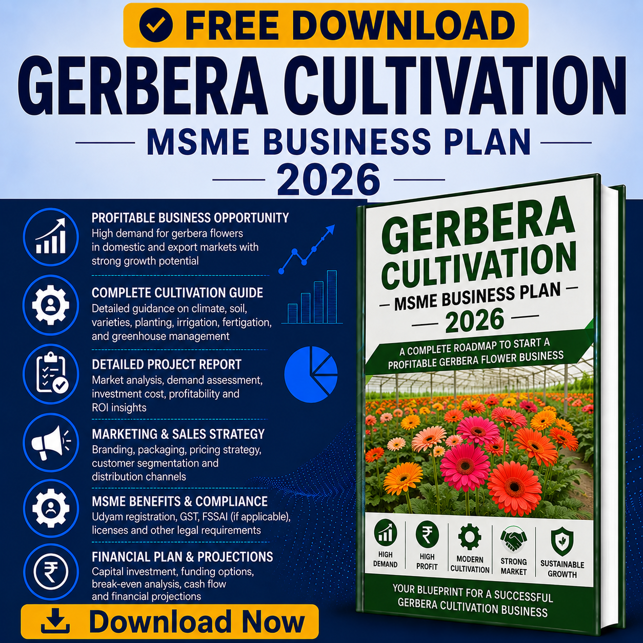 gerbera flower cultivation business plan