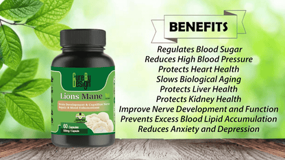 Lywire Lion’s Mane – Enhance Your Cognitive Function & Memory