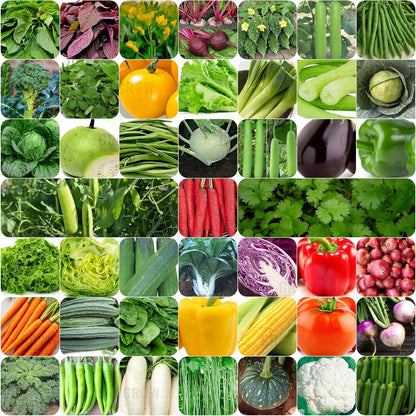 Organic vegetable seeds 100 varieties