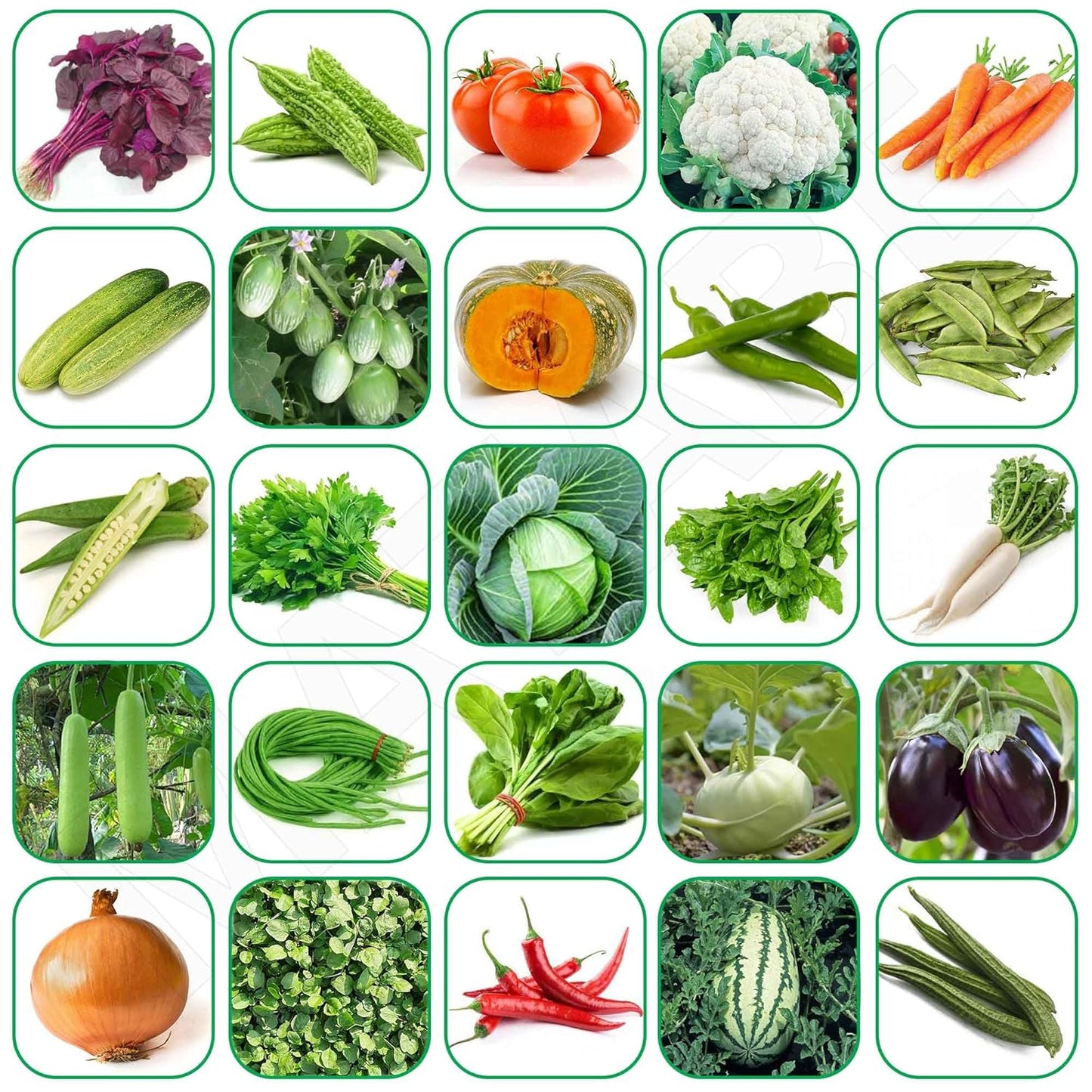 Organic vegetable seeds 100 varieties