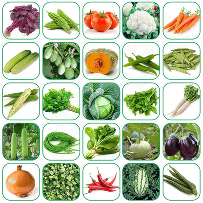 Organic vegetable seeds 100 varieties