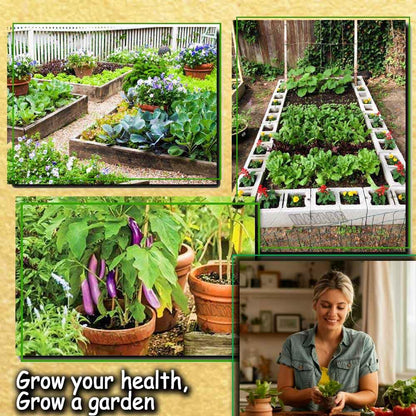 Organic vegetable seeds 100 varieties