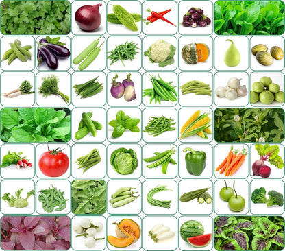 Organic vegetable seeds 100 varieties