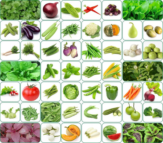 Organic vegetable seeds 100 varieties