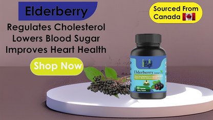 Lywire Elderberry Capsules: Premium Wellness Support