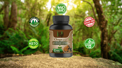 Lywire Chaga – Boost Antioxidants & Promote Longevity