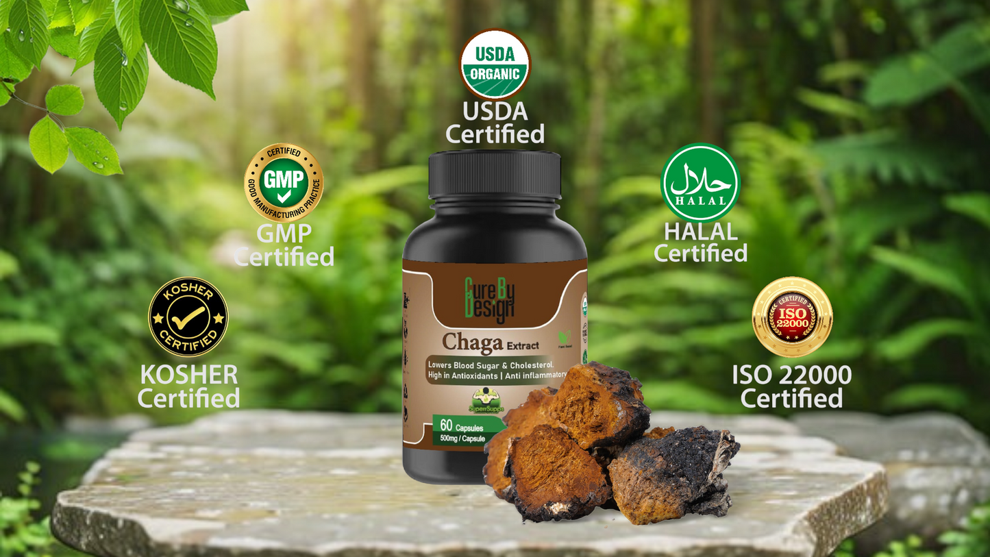Lywire Chaga – Boost Antioxidants & Promote Longevity