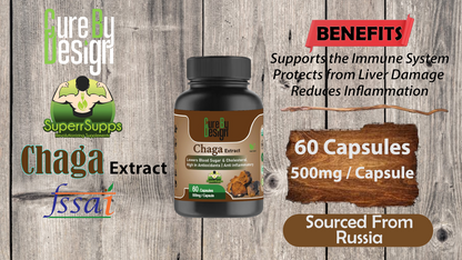Lywire Chaga – Boost Antioxidants & Promote Longevity