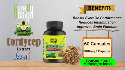 Lywire Cordycep – Boost Your Energy & Endurance Naturally