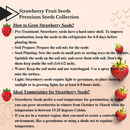 Fresh Sweet Strawberry Seeds (Pack of 20)