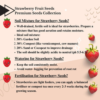 Fresh Sweet Strawberry Seeds (Pack of 20)