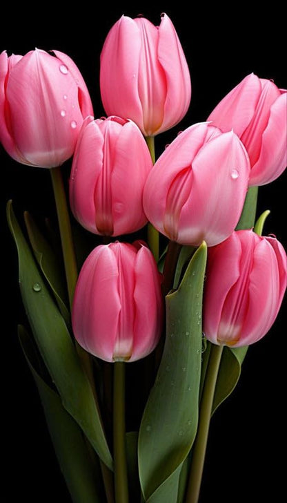 Tulip Flower Bulbs (Pack of 2)